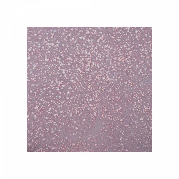 WOW! Ebossingpulver - Dappled Pink